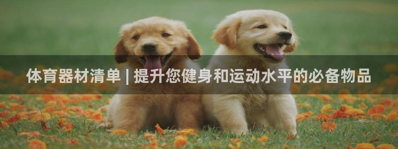 耀世娱乐电 5O6917 娱乐：体育器材清单 | 提