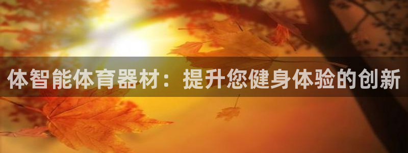 耀世平台招商：体智能体育器材：提升您健身体验的创新