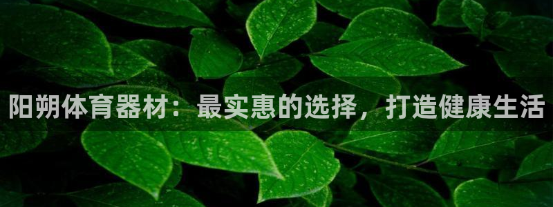 耀世平台升 411O31 耀世：阳朔体育器材：最实惠