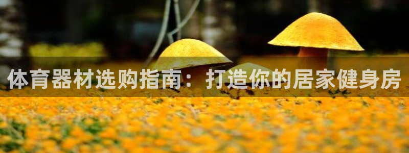 耀世娱乐网站：体育器材选购指南：打造你的居家健身房