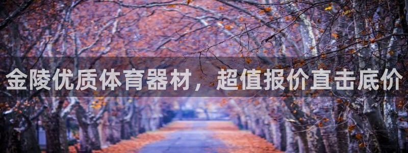 耀世意思：金陵优质体育器材，超值报价直击底价
