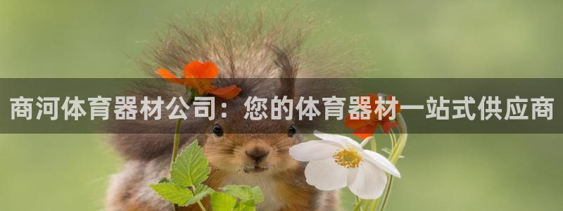 耀世娱乐app下载安装：商河体育器材公司：您的体育器