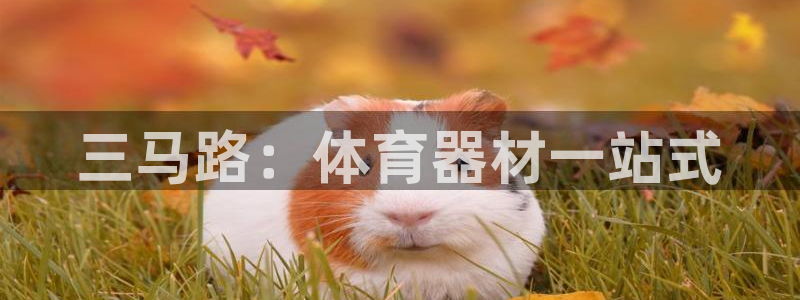 耀世娱乐含山设备：三马路：体育器材一站式