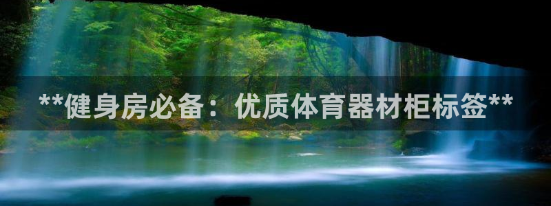 耀世官方网站：**健身房必备：优质体育器材柜标签**