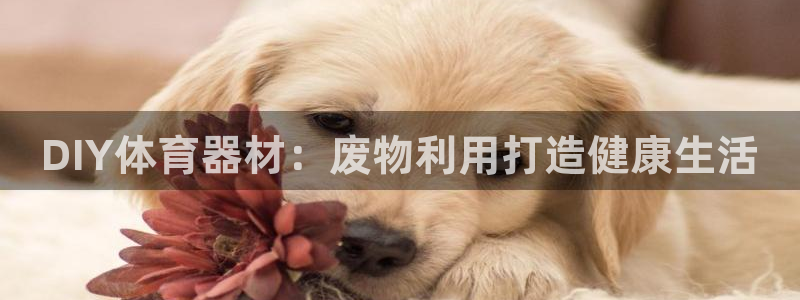 耀世盛典手游下载官网：DIY体育器材：废物利用打造健
