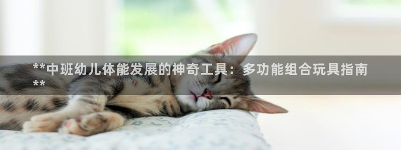 耀世挑战第三关怎么过：**中班幼儿体能发展的神奇工具