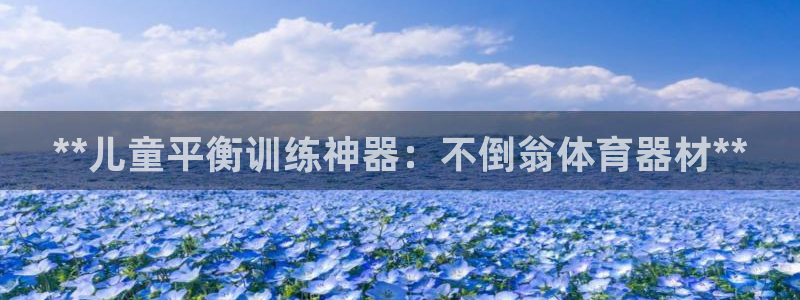 耀世娱乐挂机软件：**儿童平衡训练神器：不倒翁体育器