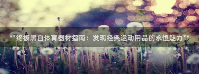 耀世幻主：**终极黑白体育器材指南：发现经典运动用品