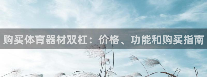 耀世娱乐辅助软件下载官网：购买体育器材双杠：价格、功