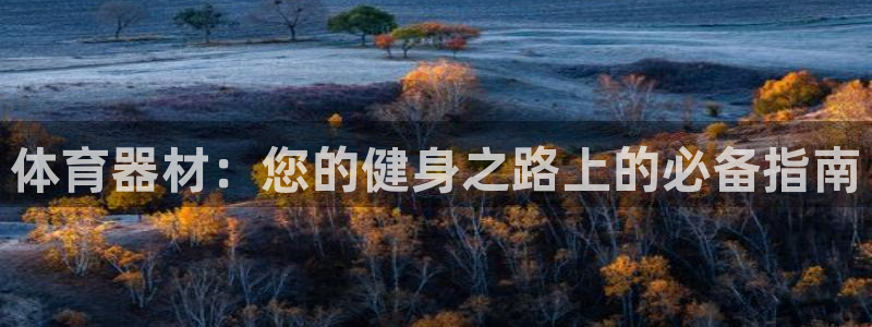 耀世登场：体育器材：您的健身之路上的必备指南