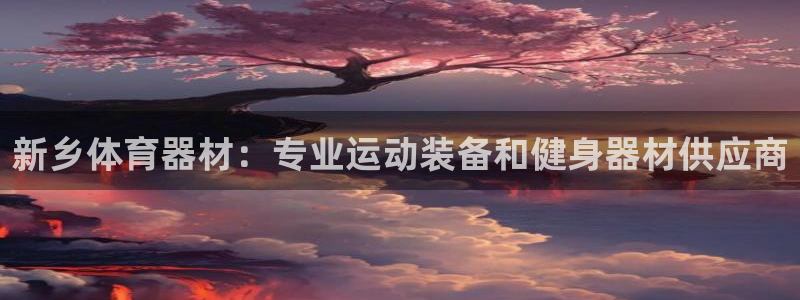 耀世团长：新乡体育器材：专业运动装备和健身器材供应商