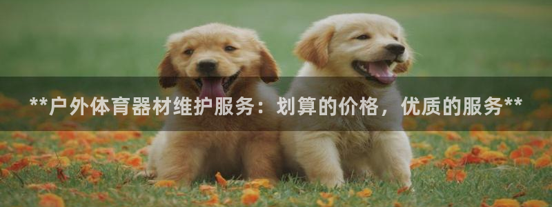 耀世娱乐软件下载：**户外体育器材维护服务：划算的价