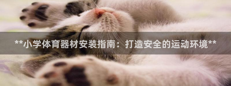 耀世微光歌曲下载：**小学体育器材安装指南：打造安全