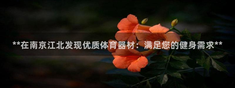 耀世平台负责人是谁：**在南京江北发现优质体育器材：