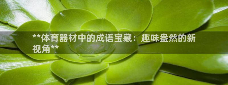 耀世天下的图片唯美：**体育器材中的成语宝藏：趣味盎