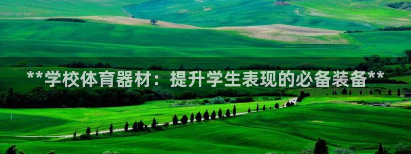 耀世娱乐能提现到微信吗：**学校体育器材：提升学生表