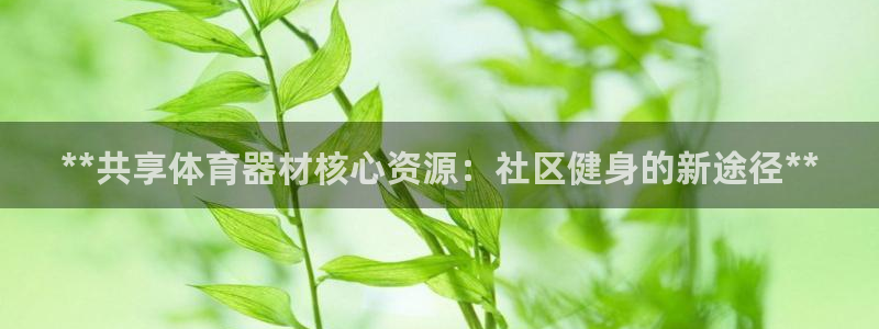 耀世平台拿什么输入账号密码呢：**共享体育器材核心资