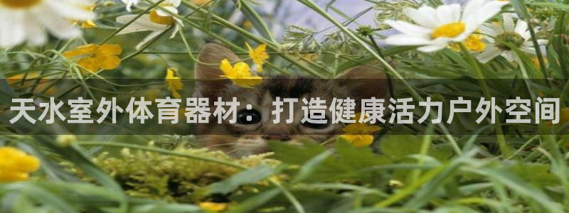耀世娱乐招商注册 知乎账号：天水室外体育器材：打造健