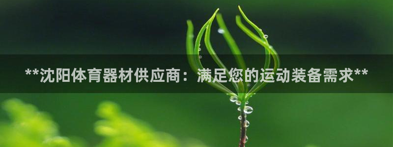 耀世天下：**沈阳体育器材供应商：满足您的运动装备需