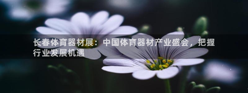 耀世娱乐含山：长春体育器材展：中国体育器材产业盛会，