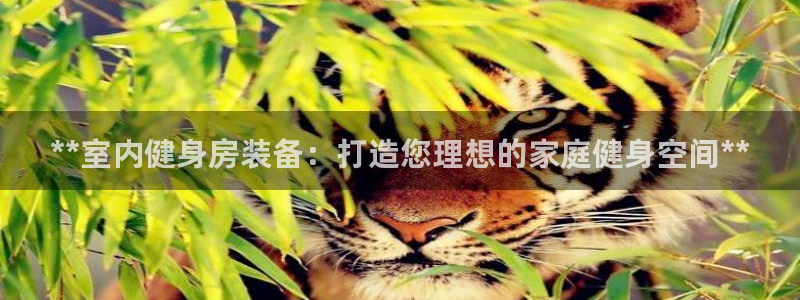 耀世集团七天三倍彩金活动：**室内健身房装备：打造您