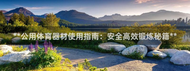 耀世娱乐平台官网入口：**公用体育器材使用指南：安全