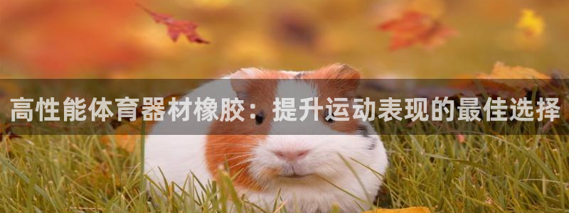 耀世娱乐app下载官网：高性能体育器材橡胶：提升运动