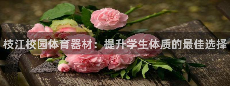 耀世平台注册网址：枝江校园体育器材：提升学生体质的最