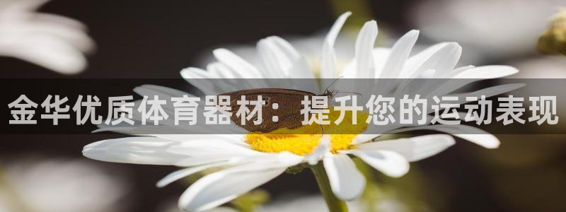 耀世娱乐价 411O31 耀世：金华优质体育器材：提