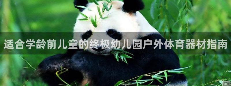 耀世平台间7O777：适合学龄前儿童的终极幼儿园户外