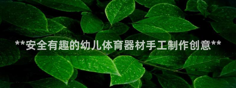 耀世娱乐在线登录官网入口：**安全有趣的幼儿体育器材