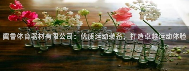 耀世是什么车：冀鲁体育器材有限公司：优质运动装备，打