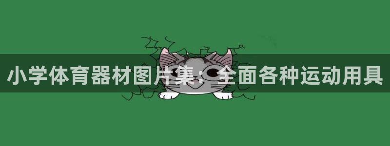 耀世平台代理怎么做：小学体育器材图片集：全面各种运动