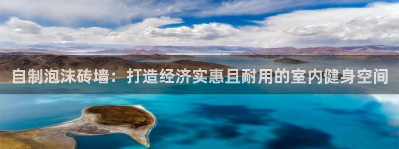耀世的意思：自制泡沫砖墙：打造经济实惠且耐用的室内健