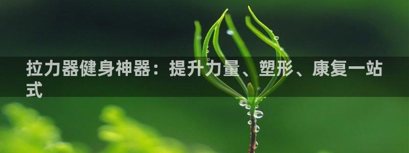 耀世国际集团是国企吗还是央企：拉力器健身神器：提升力