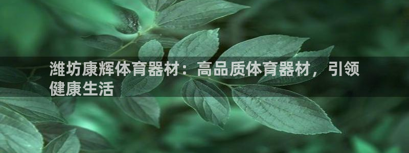 耀世国际平台正规吗可靠吗安全吗：潍坊康辉体育器材：高
