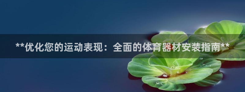 耀世娱乐提现失败：**优化您的运动表现：全面的体育器