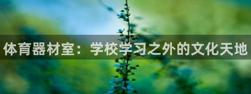 耀世微光简谱：体育器材室：学校学习之外的文化天地