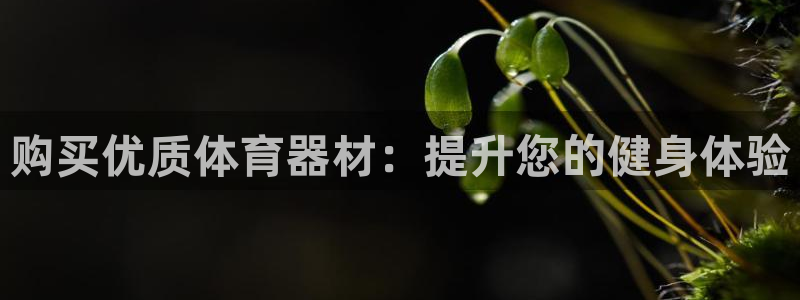 耀世娱乐平台巴7O777：购买优质体育器材：提升您的