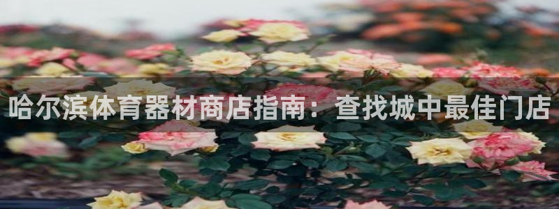 耀世娱乐怎么样：哈尔滨体育器材商店指南：查找城中最佳