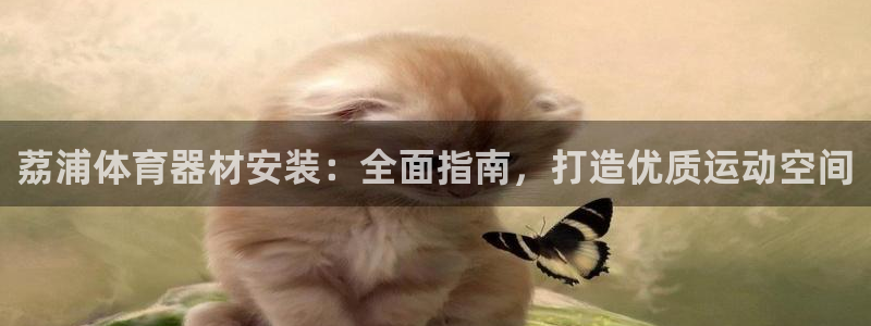 耀世集团商业联盟：荔浦体育器材安装：全面指南，打造优