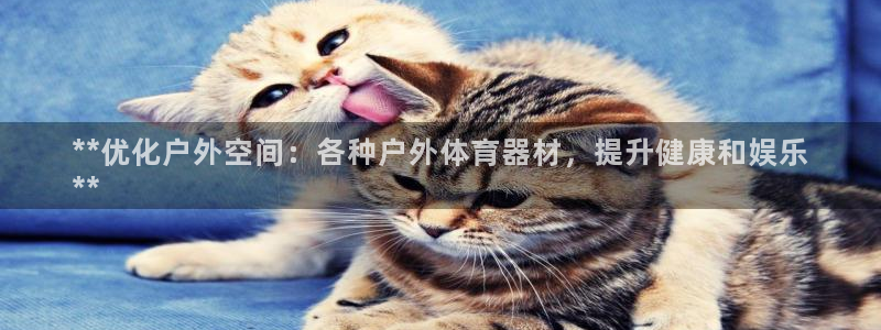 耀世团长：**优化户外空间：各种户外体育器材，提升健