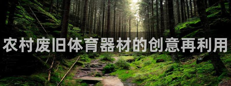 耀世集团北京快三是真的吗：农村废旧体育器材的创意再利