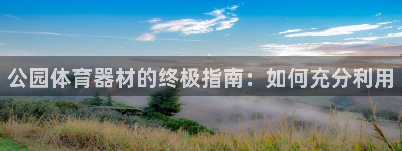 耀世娱乐挂机教程：公园体育器材的终极指南：如何充分利