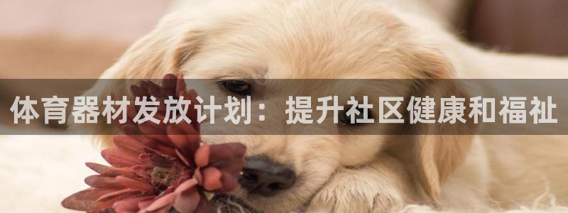 耀世盛典手游下载安装：体育器材发放计划：提升社区健康