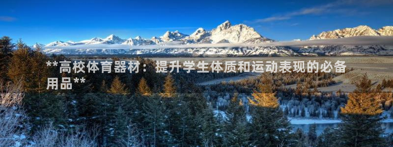 耀世国际平台正规吗可靠吗安全吗：**高校体育器材：提