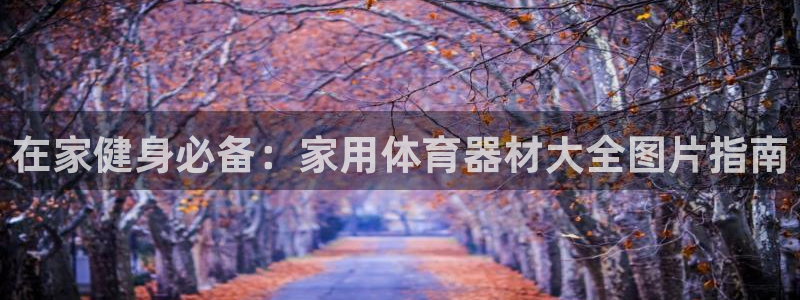 耀世平台代理注册登录：在家健身必备：家用体育器材大全