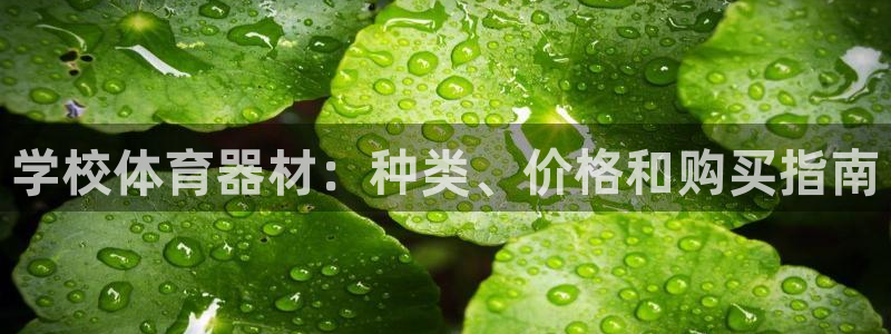 耀世平台注册网址是什么啊：学校体育器材：种类、价格和