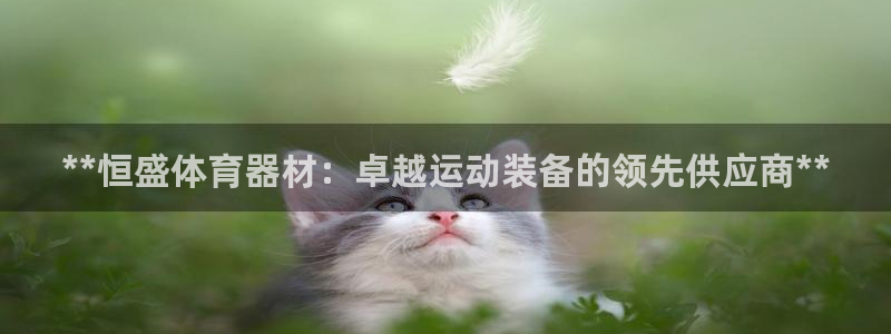 耀世平台代理怎么样可靠吗：**恒盛体育器材：卓越运动
