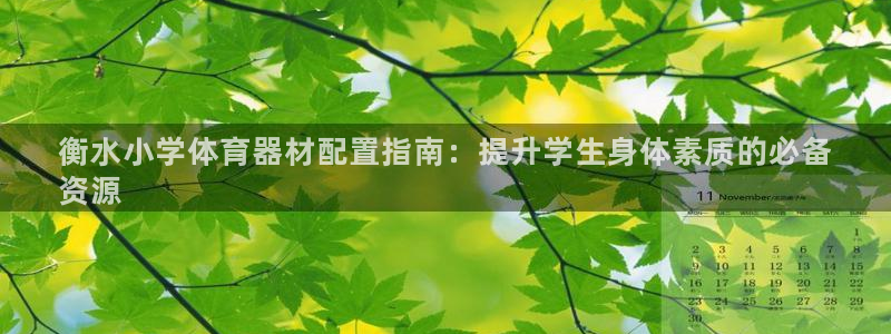 耀世娱乐平台注册地址在哪里：衡水小学体育器材配置指南